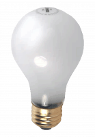 25W A19 Frost Bulb β Soft, Warm Illumination