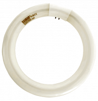 FC8T9WWRS Warm White Circline Tube – Efficient, Long-Lasting Illumination