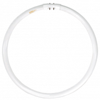 FC12T5 40W Circline Bulb – Crisp Cool White Lighting