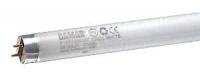 F18T8CW 30-Inch Tube Bulb – G13 Bi-Pin Base for Bright, Efficient Illumination