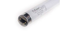 Fluorescent F32 T8 Tube – 48in, 32W, 6500K, Medium Bi-Pin Base