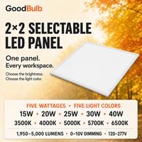 2x2 LED Panel, 5 Wattages, 5 CCT commercial LED fixture, selectable wattage and CCT, 120-277V, DLC 5.1 Premium, utility rebate eligible