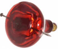 250R40 Safe-Shield Heat Lamp – 250-Watt Shatter-Resistant Red R40 Flood – E26 Medium Base – 130V High-Strength Infrared Bulb