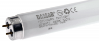 F20T10 DRS Fluorescent - Daylight 6500K Color