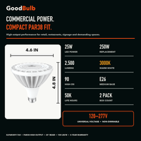PAR38 3000K High Output LED PAR bulb, PAR38, 3000K Warm White, 90+ CRI, halogen replacement flood/spot