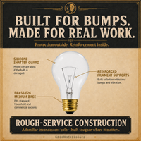 The 60-Watt incandescent light bulb, 60W A19 E26, 100 CRI, dimmable
