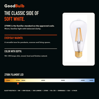 ST19 Edison Soft White Glow LED filament bulb, clear glass, E26 Medium, dimmable vintage Edison style, 90 CRI