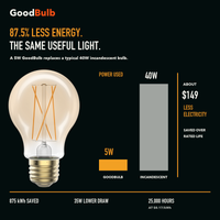 A19 Filament Soft White Glow LED filament bulb, clear glass, E26 Medium, dimmable vintage Edison style, 90 CRI
