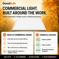 2x2 LED Panel, 5 Wattages, 5 CCT commercial LED fixture, selectable wattage and CCT, 120-277V, DLC 5.1 Premium, utility rebate eligible