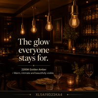 A19 Filament Nostalgic Amber LED filament bulb, amber glass, E26 Medium, dimmable vintage Edison style, 90 CRI