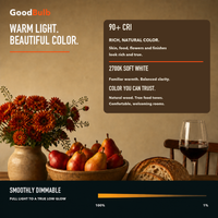 ST19 Edison Soft White Glow LED filament bulb, clear glass, E26 Medium, dimmable vintage Edison style, 90 CRI