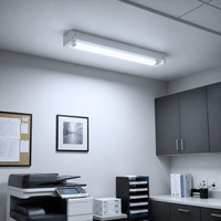 2FT LED T8 Tube LED T8 tube, 4000K Cool White or 5000K Daylight, G13 Bi-Pin, plug and play or ballast bypass, fluorescent replacement