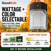 Mini Wall Pack 18/25/30W Selectable commercial LED fixture, selectable wattage and CCT, 120-277V, DLC 5.1 Premium, utility rebate eligible