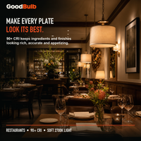 GoodBulb Soft White 2700K A19 LED bulb, made in USA, Fargo North Dakota