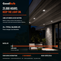 PAR20 5000K Daylight LED PAR bulb, PAR20, 5000K Daylight, 90+ CRI, halogen replacement flood/spot