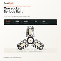 X-Wing Previous Generation high output LED bulb, 5000K daylight, E26 / EX39 Mogul, 120-277V, HID/halogen replacement