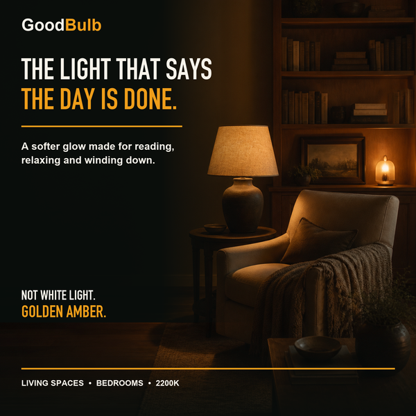 A19 LED Filament Bulb, Amber Glass, Vintage, Dimmable, E26