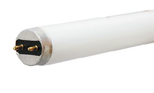 Fluorescent F32 T8 Tube – 48in, 32W, 4100K, Medium Bi-Pin