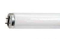 40 Watt T12 Fluorescent Tube 3500K G13 Bi-Pin