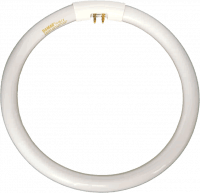 FC8T5 / 865 – 22W Circular Fluorescent T5 Lamp