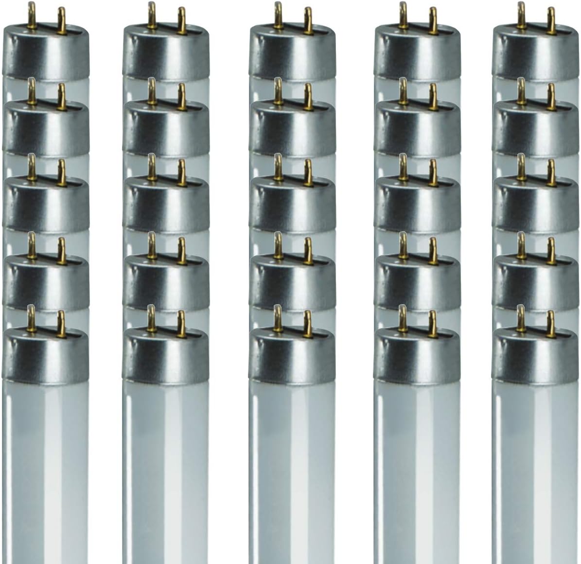 32W T8 Fluorescent Tube - 3000K Warm White • 48in