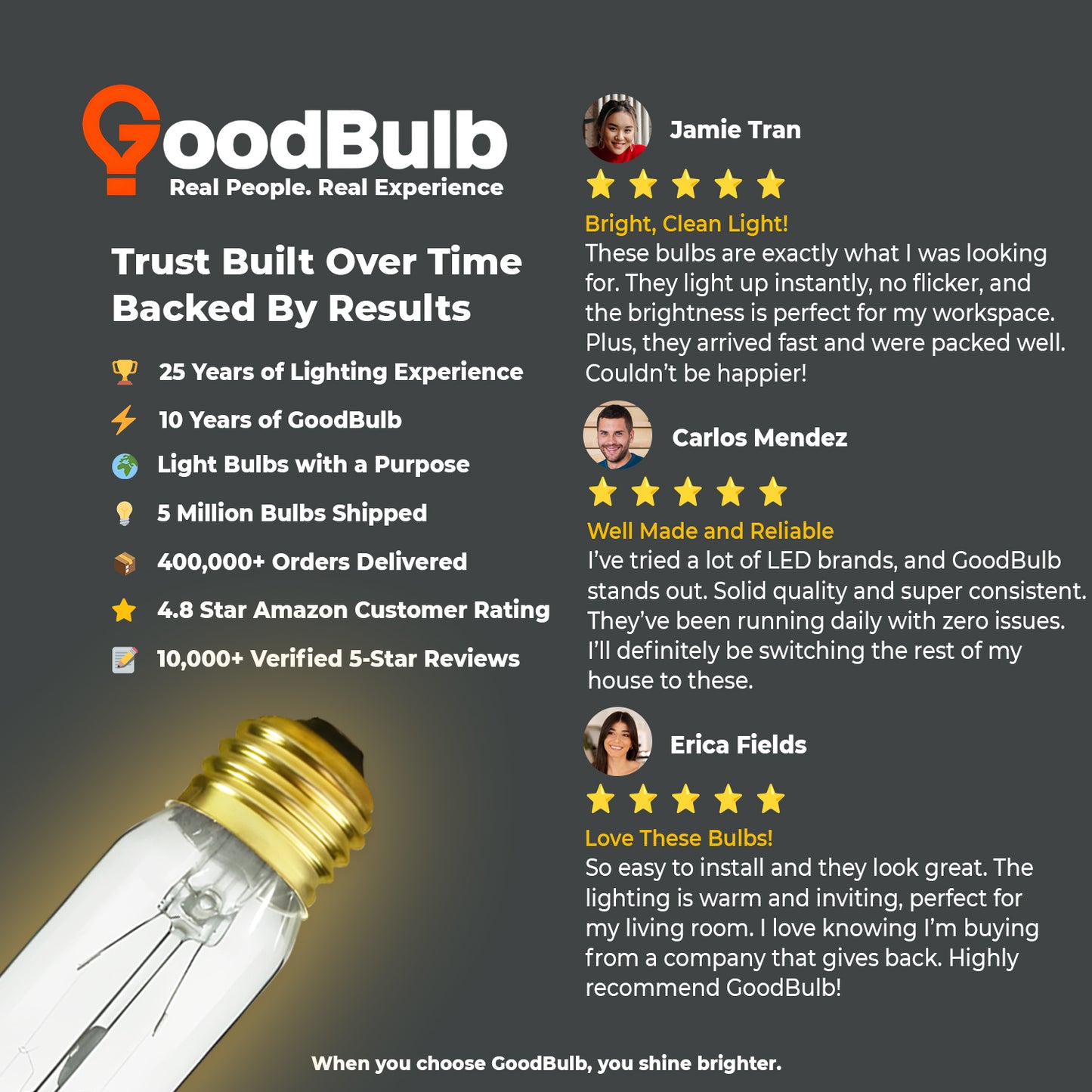 Customer review praising GB25T10E26C clear T10 tubular incandescent bulb brightness and style