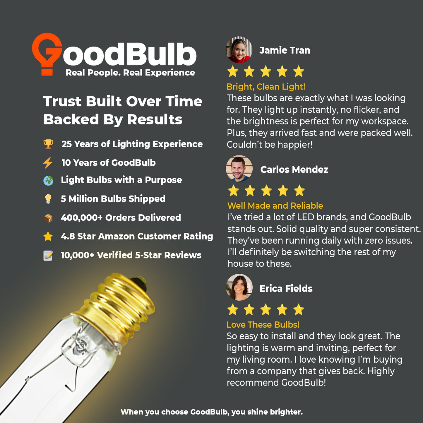 Customer review praising brightness and quality of GB40WT6E17CL2 tubular T6 incandescent bulb