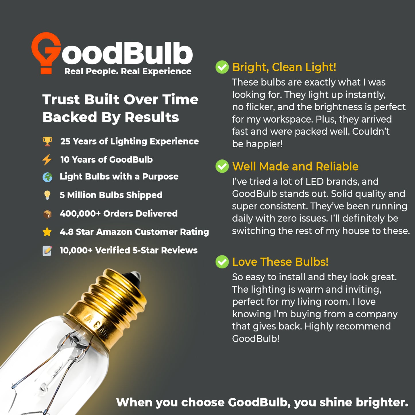 Customer review highlighting brightness and quality of GB40WT8E17CL3 T8 tubular bulb