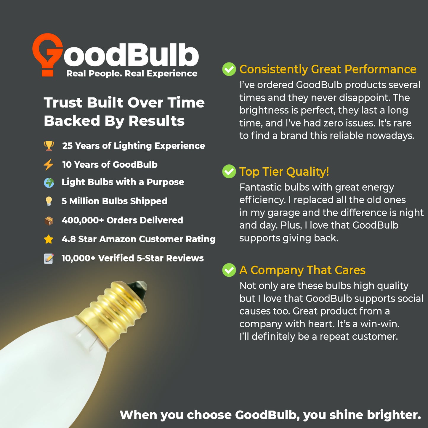 User testimonial highlighting brightness and quality of GB25ETF12 25W frosted light bulb