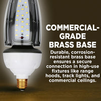 300w EQUIVALENT - 30 WATT NON-DIMMABLE LED ACORN - 84 CRI - PLATINUM PURE WHITE - 4200 LUMENS - 5000 KELVIN - ROUGH SERVICE - 50,000 HOURS & 5 YEAR