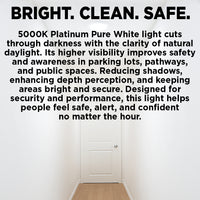 300w EQUIVALENT - 30 WATT NON-DIMMABLE LED ACORN - 84 CRI - PLATINUM PURE WHITE - 4200 LUMENS - 5000 KELVIN - ROUGH SERVICE - 50,000 HOURS & 5 YEAR