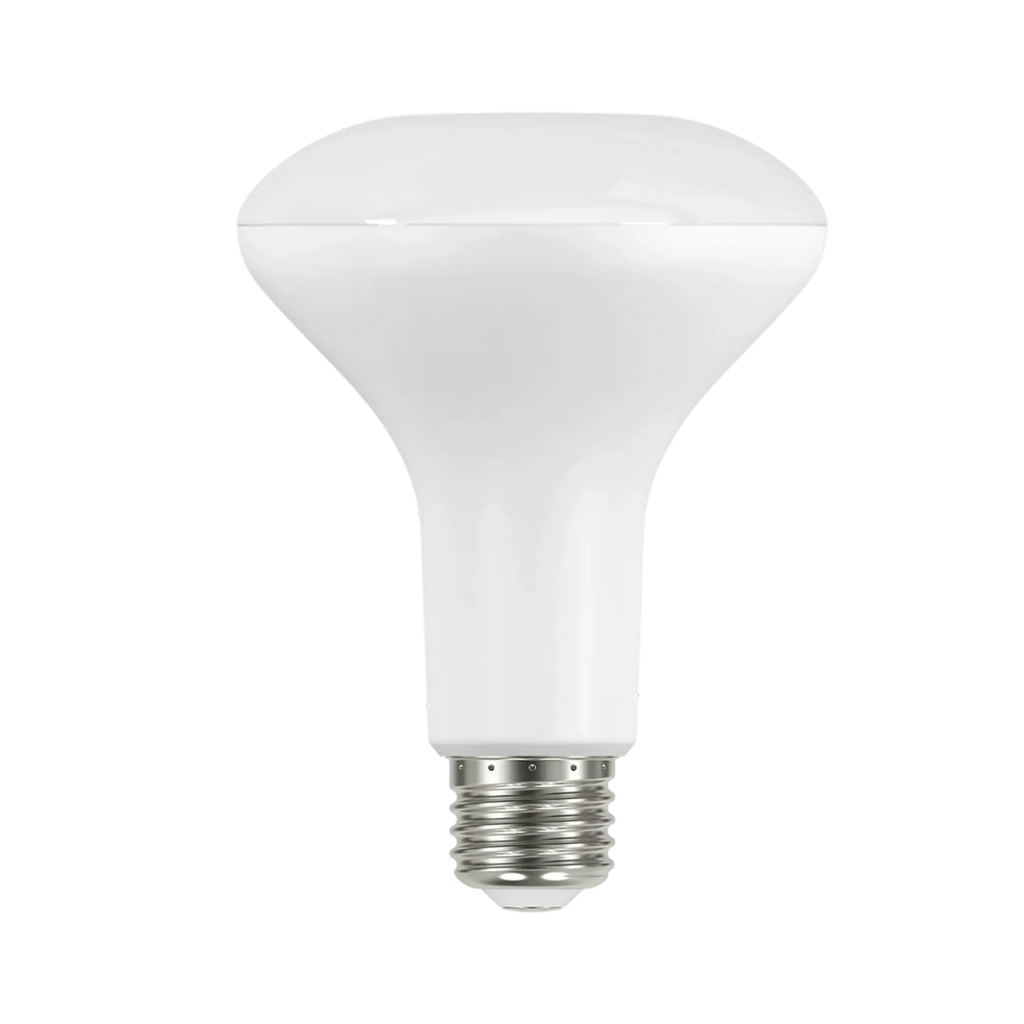RAB LED BR30 Lamp - 8.5 Watt - 5000K - Replaces 65 Watt Incandescent - 80+ CRI - 680 Lumens - 120 Volt - BR30-8.5-850-DIM ECO