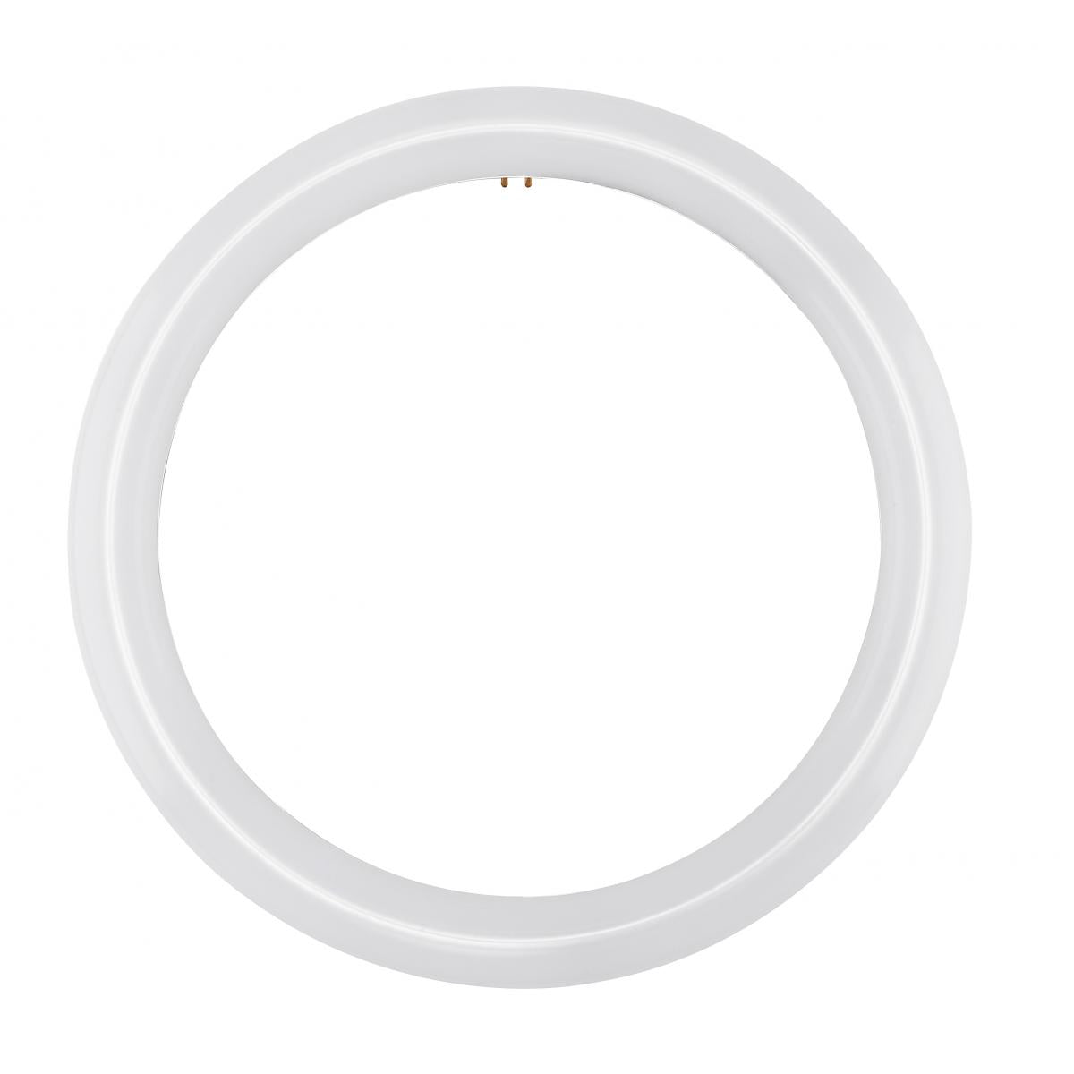FC12T9/LED/CIR/830/BP LED Circline; 16 Watt; T9; 3000K; G10Q Base; 120-277 Volt; Type B; Ballast Bypas