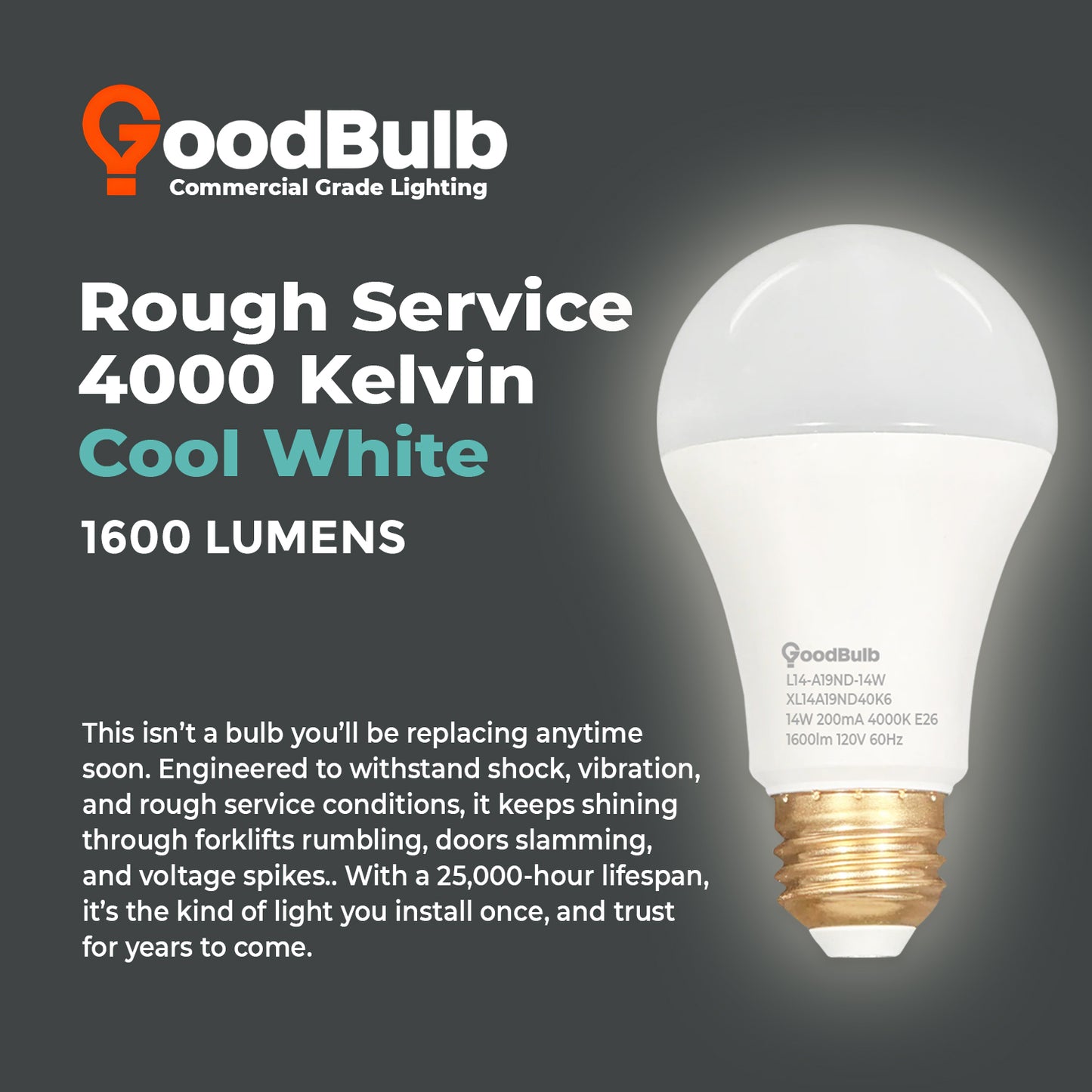 4000K Cool White Color Temperature Guide for XL14A19ND40K6 LED Bulb