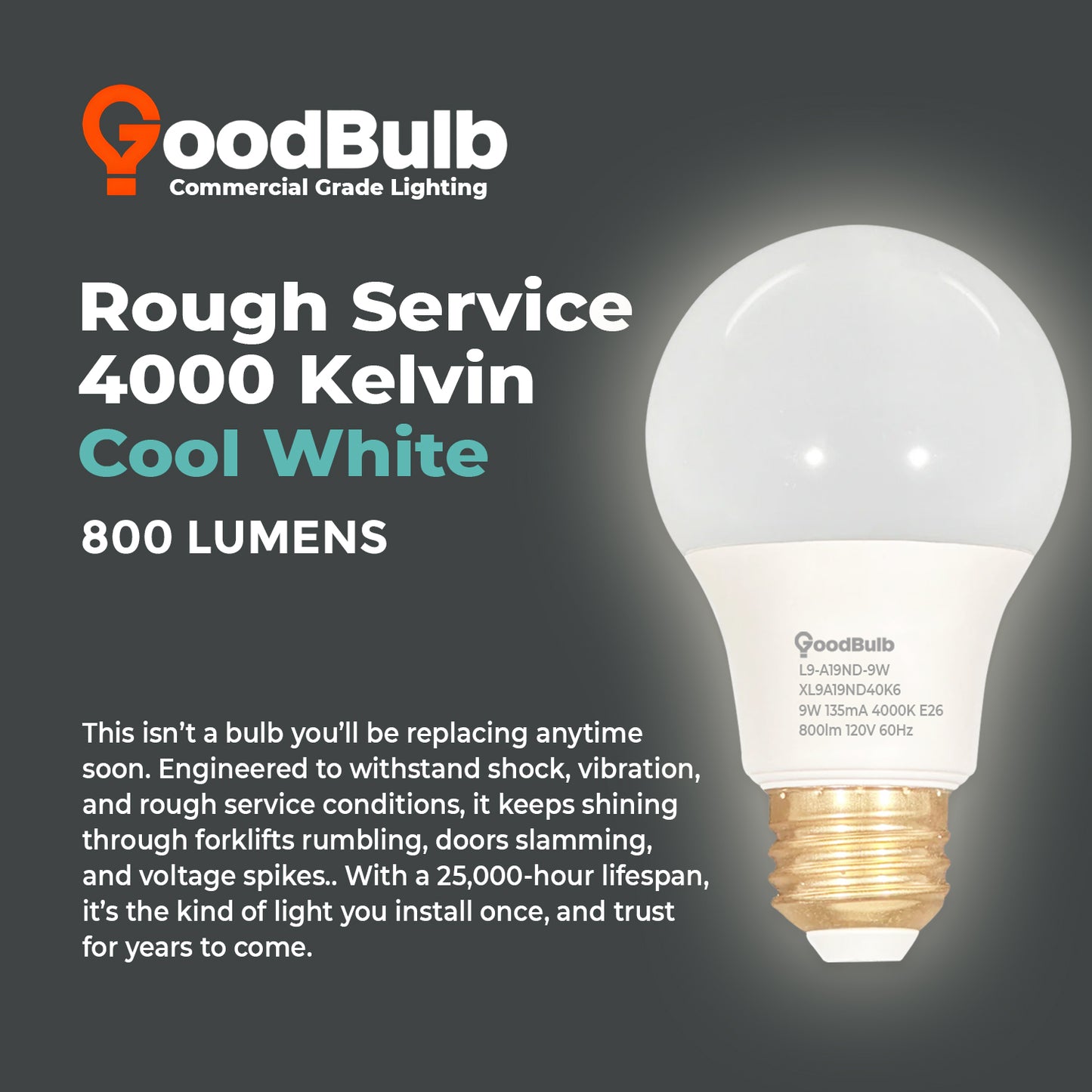 4000K Color Temperature Chart - XL9A19ND40K LED Daylight Glow Comparison