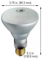 65BR30SP Safe-Shield Spot Bulb – 130V