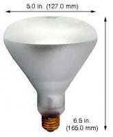 75-Watt BR40 Safe Shield Spot Lamp – Silicone Coated Shatter-Resistant Flood Light Bulb