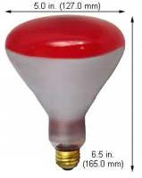 120W BR40 Red Flood - Deep Red Color