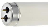 F25T12 28" Tube Light – Cool White 4100K for Crisp, Efficient Illumination