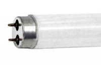 30W T8 Natural Fluorescent Tube – Reliable, Energy-Efficient Illumination with G13 Bi-Pin Base