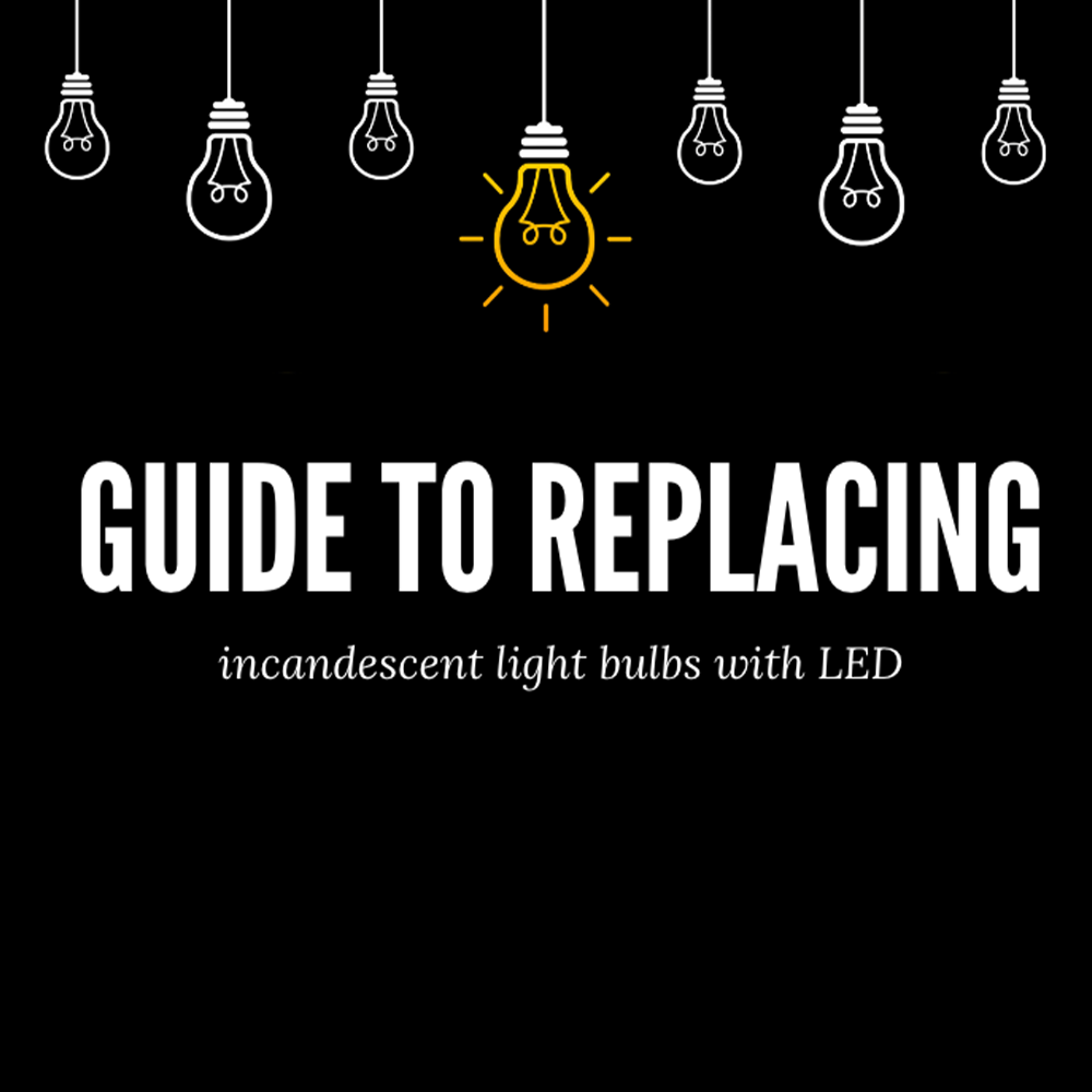 Replace incandescent light bulbs with LED light bulbs