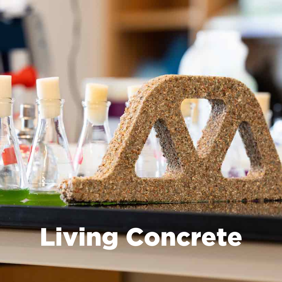Living Concrete example