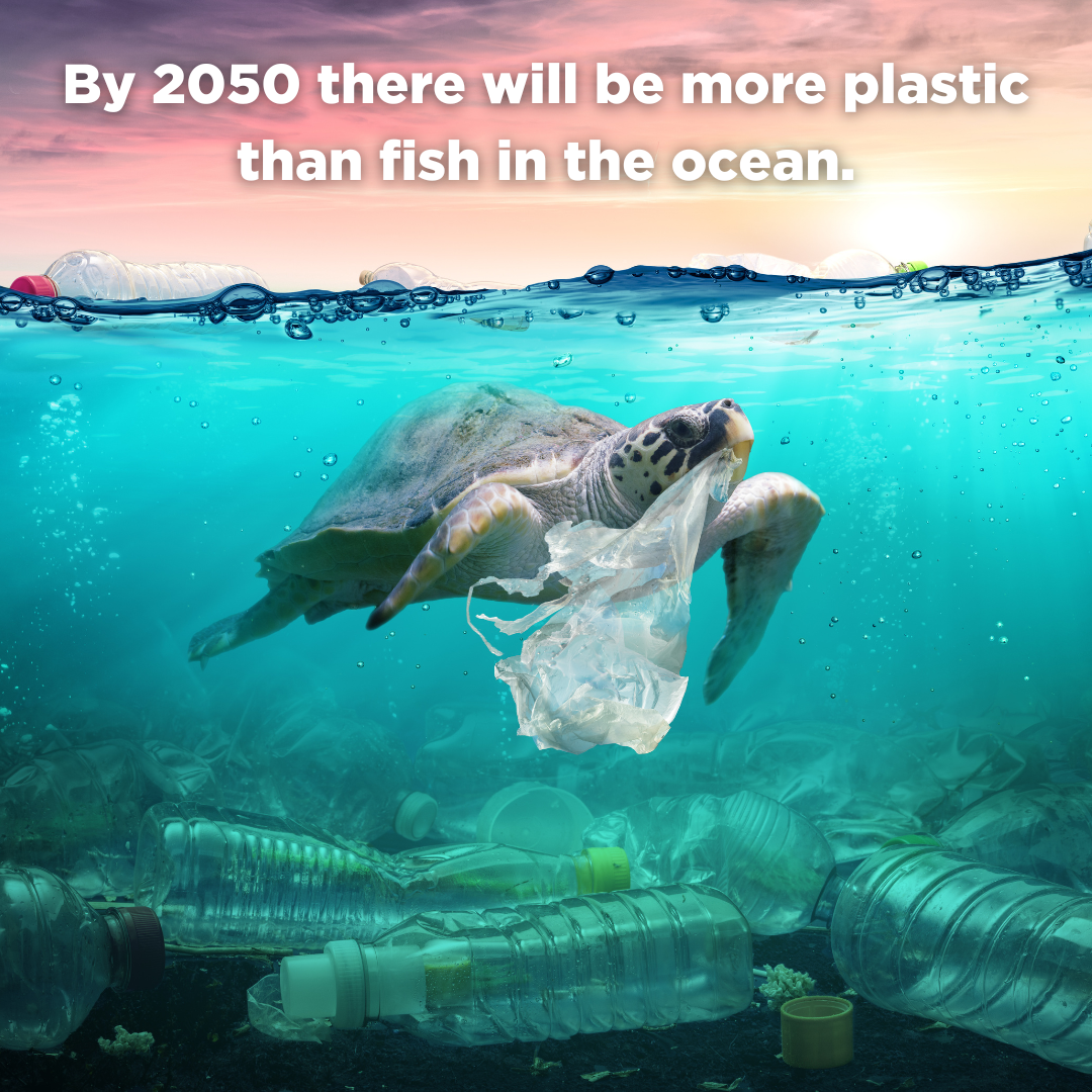 ocean pollution hurting our fish