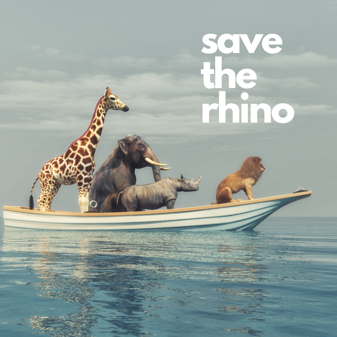 northern white rhino saved from extinction