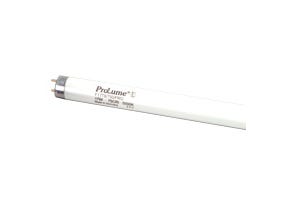 Fluorescent T8 Tube F17 17W 4100K – 24" Medium Bi-Pin Base