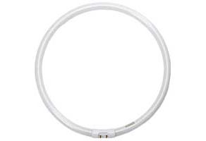 Fluorescent T5 Circleline FC40 12in 40W 3500K 2GX13 Base – Dimmable