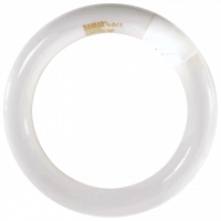 FC8T9DRS Daylight Tube – G10Q 4-Pin Base, 6500K Daylight Brightness