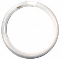 12" T9 Circline Cool White Bulb – High Lumen Output for Enhanced Visibility