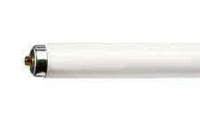 F96T12DX / ALTO 75W Daylight – 6500K T12 Fluorescent Tube with FA8 Base for Bright, Crisp Illumination