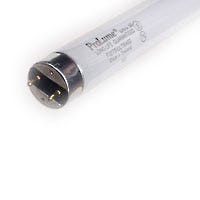 Fluorescent F28 T8 Tube 48” 28W, 3000K, Medium Bi-Pin, Non-Dimmable, 2800 Lumens
